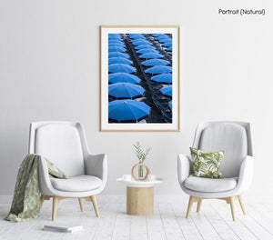 Blue umbrellas and beach chairs lined up in Italy in a natural fine art frame