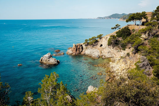 Green trees and bright blue water along Costa Brava coast