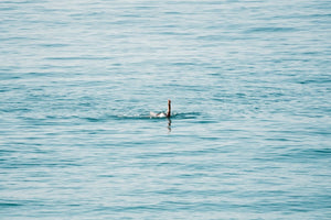 Woman swimming backstroke in the ocean in Costa Brava