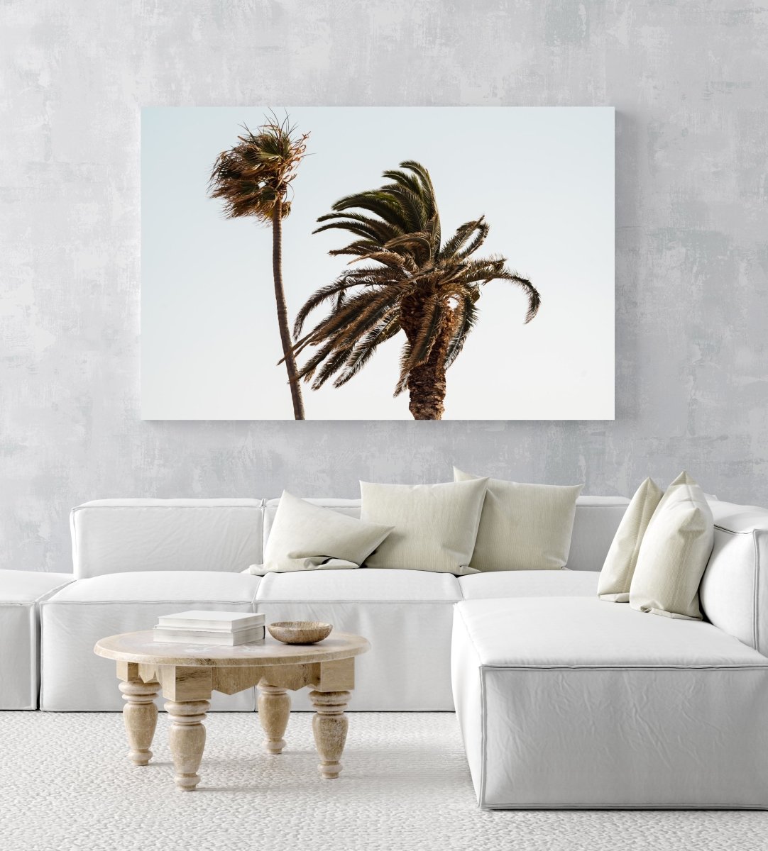 Two palm trees blowing in the wind at Ponta da Piedade in an acrylic/perspex frame