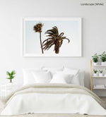 Two palm trees blowing in the wind at Ponta da Piedade in a white fine art frame