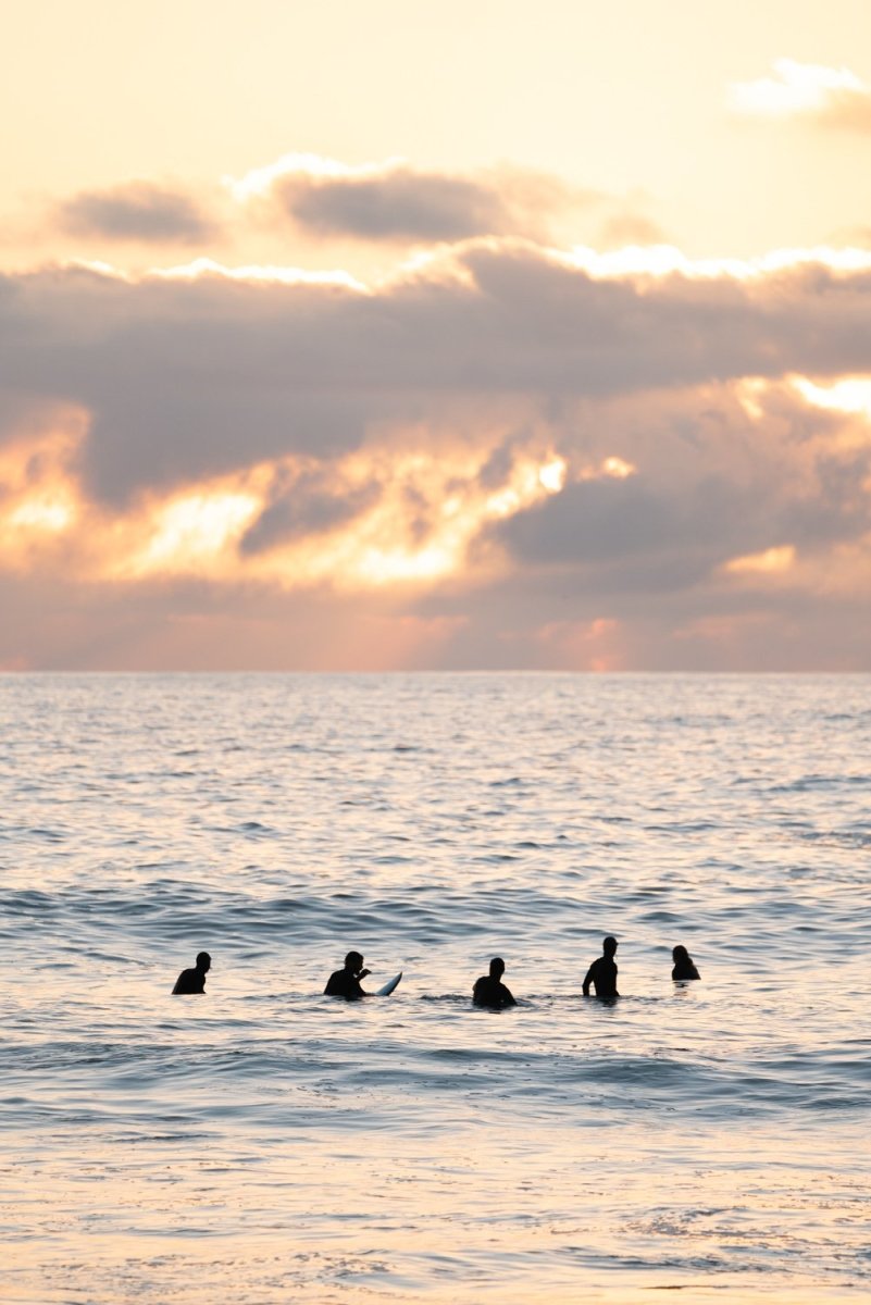 Five Surfers waiting for a wave during sunset