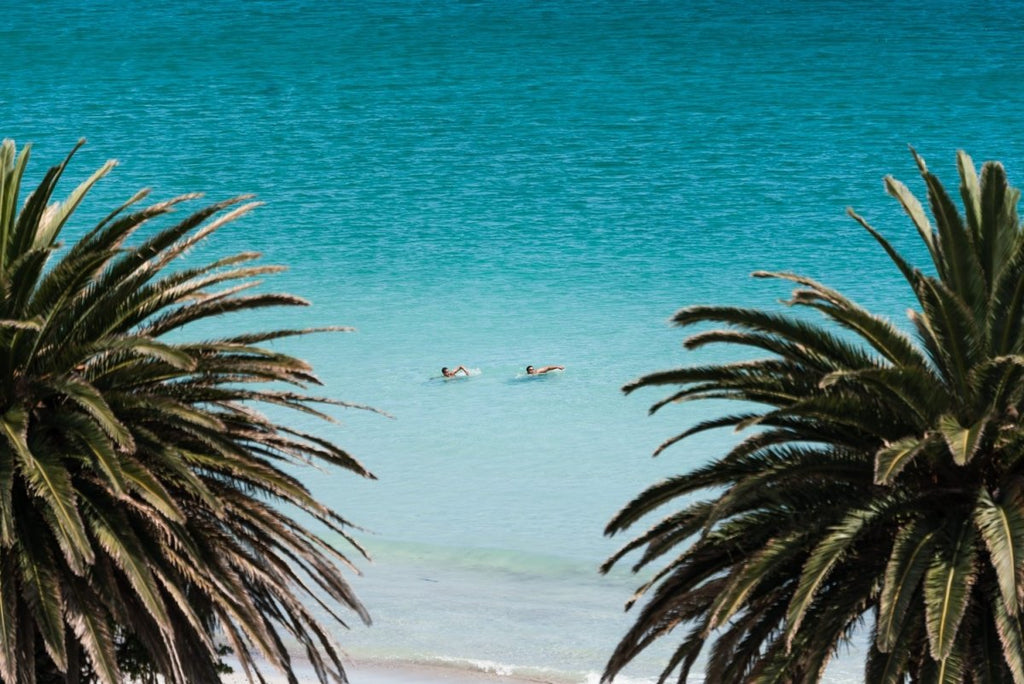 Two people swimming between palm trees at beach photo