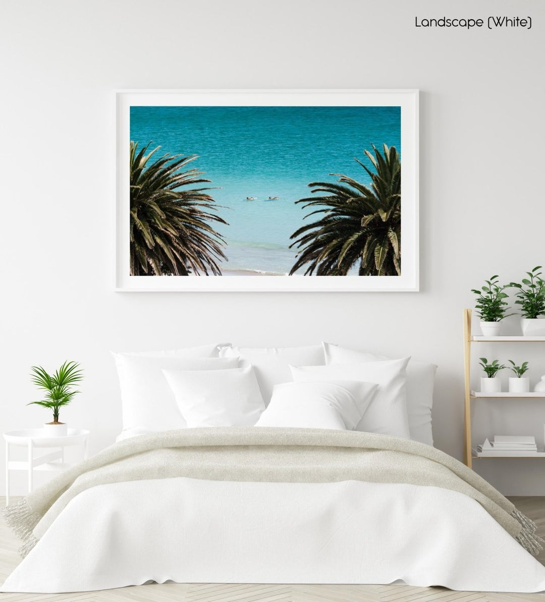 Two people swimming between palm trees at beach photo