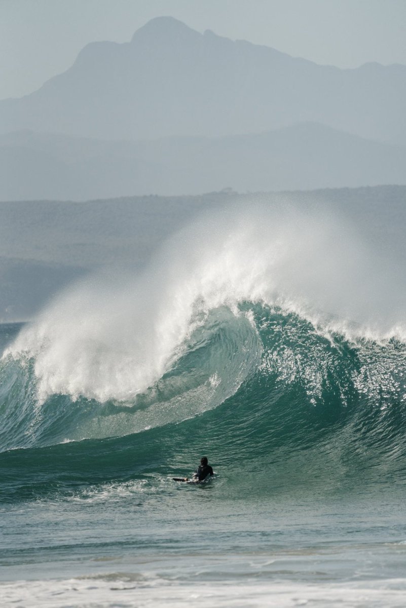 The garden route plettenberg bay