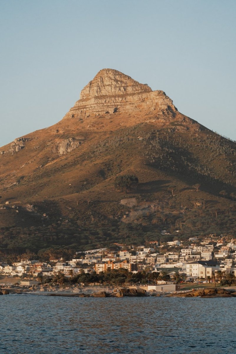 Lion's Head