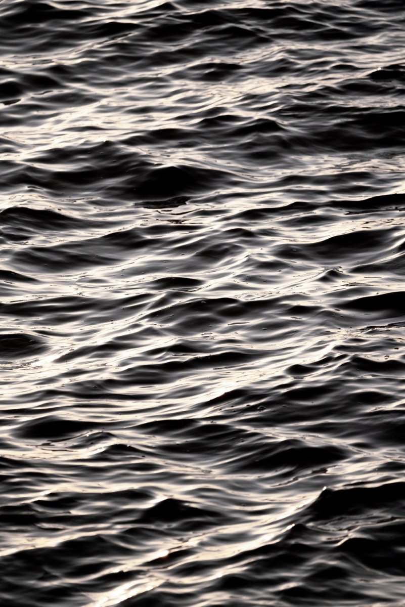 Abstract minimal waves dark