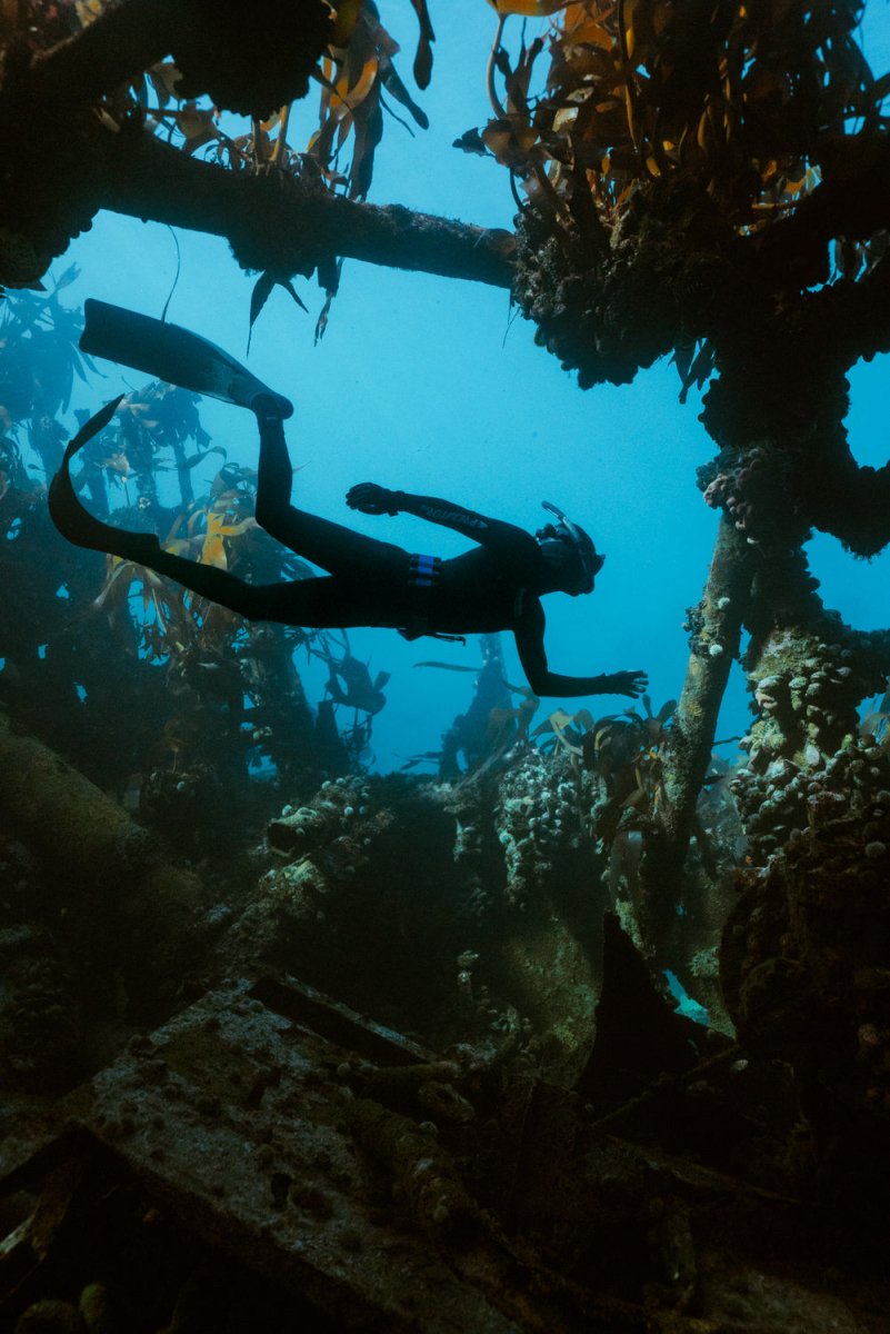 Freediver at Oudekraal Antipolis shipwreck in Cape Town.