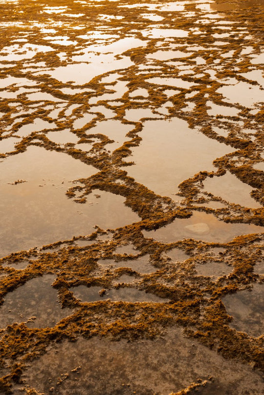 Rockpools during sunset in Indonesia.