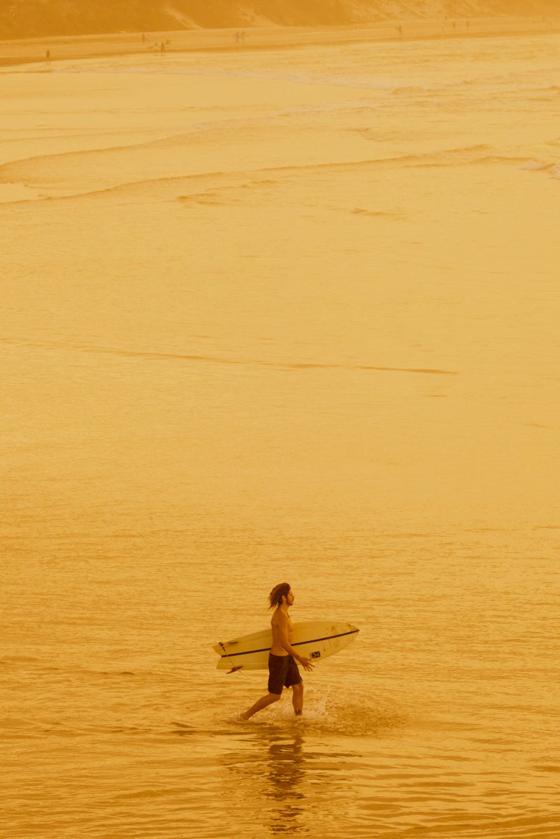 Surfer walking into ocean with orange haze from sunset in byron bay