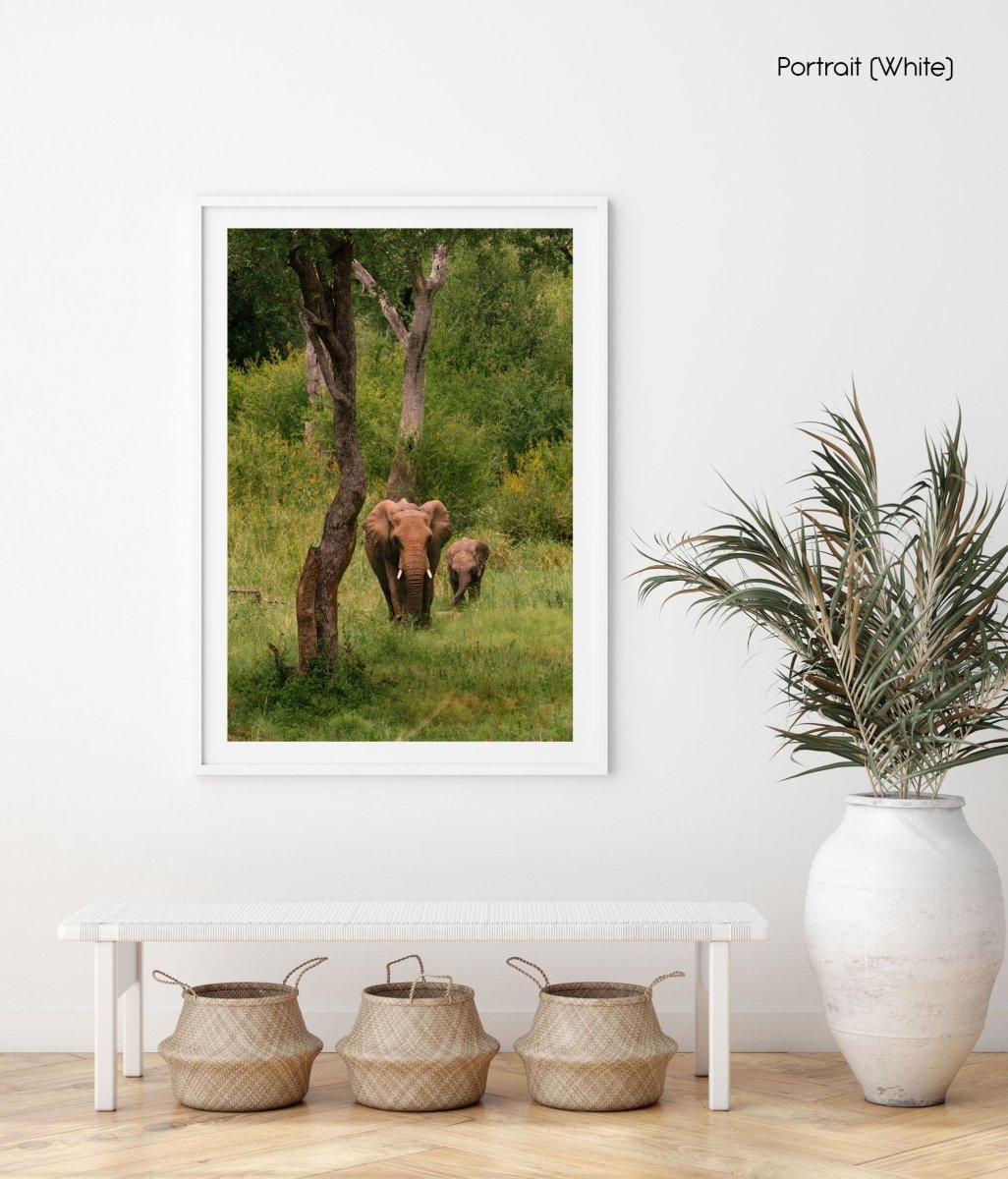 Big and small elephants walking next to each other through trees