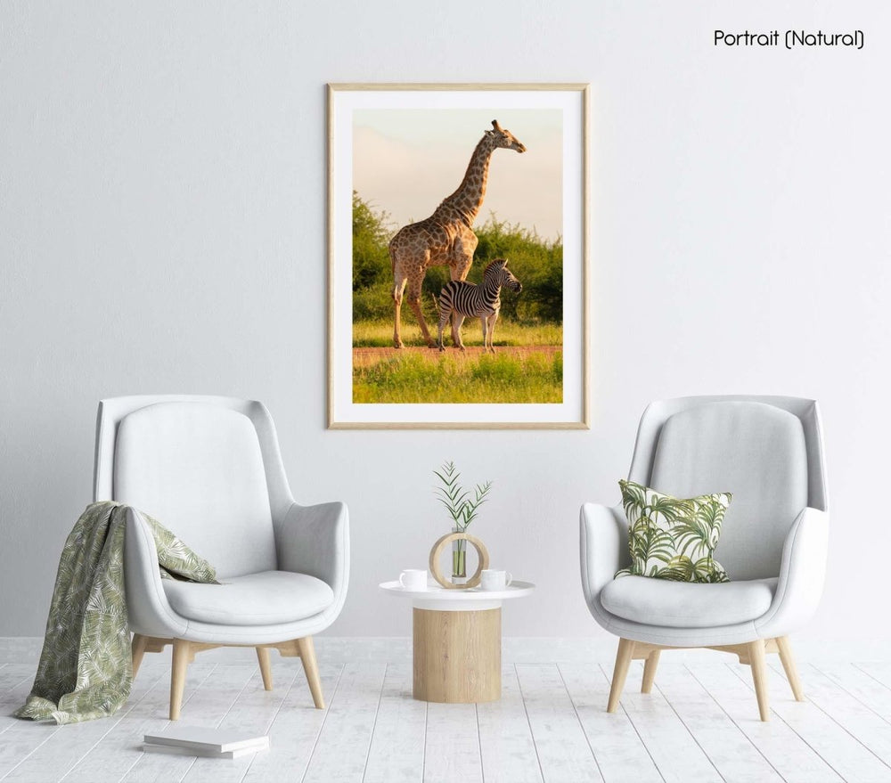 Zebra and giraffe standing next to each other