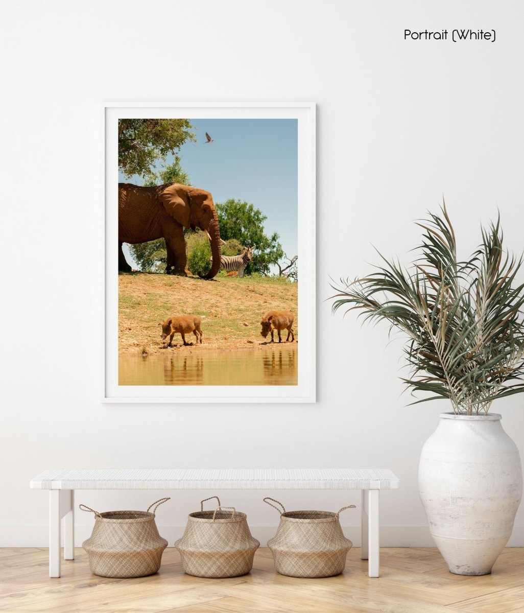 Group of elephant, warthog and zebra standing at water