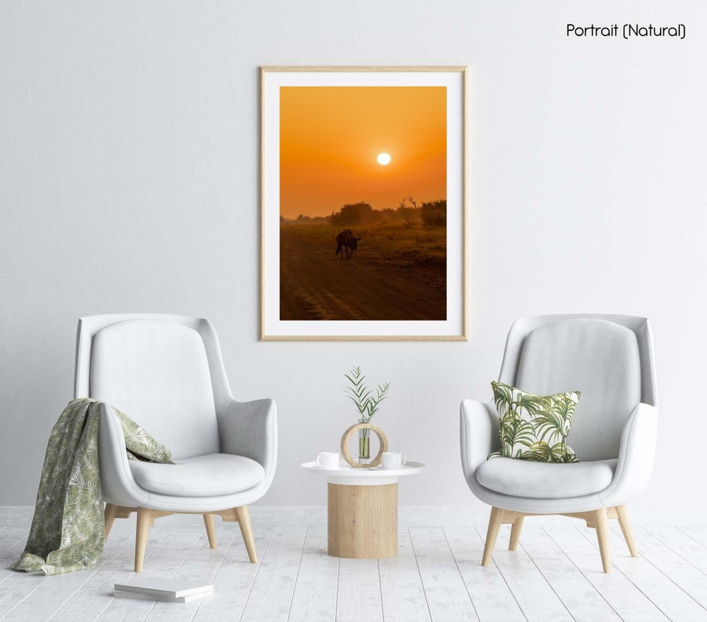 Wildebeest walking along dirt road at sunrise