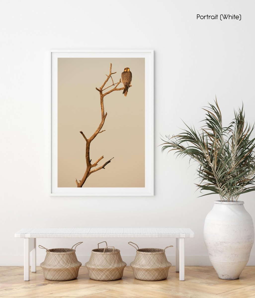Bird standing on top of branch
