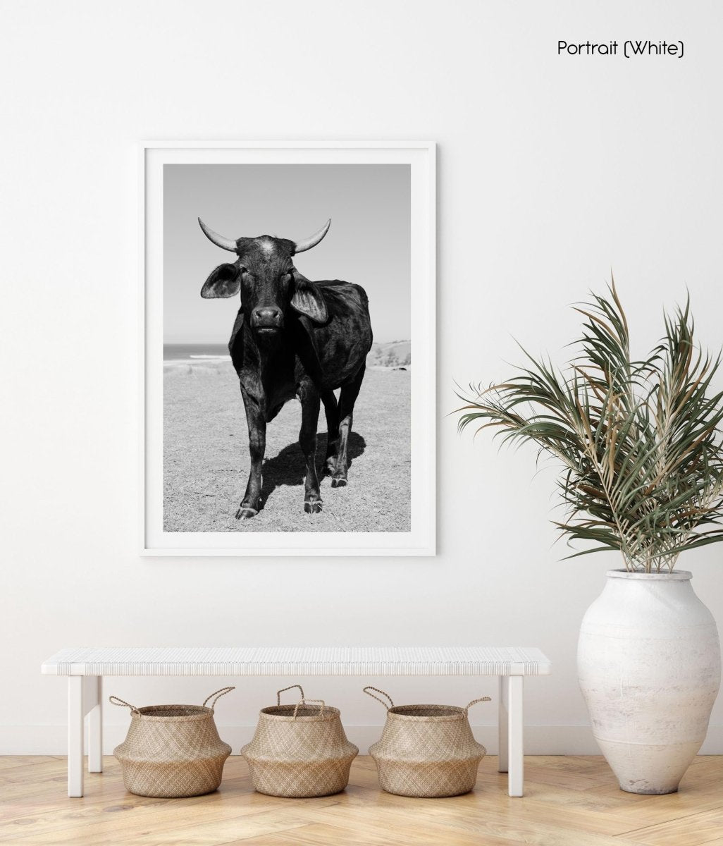 Bull standing on field near ocean