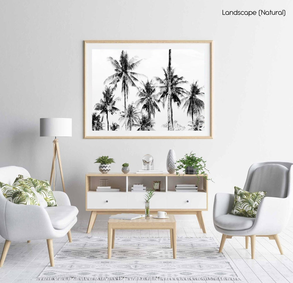 Palm trees in Bali, Indonesia