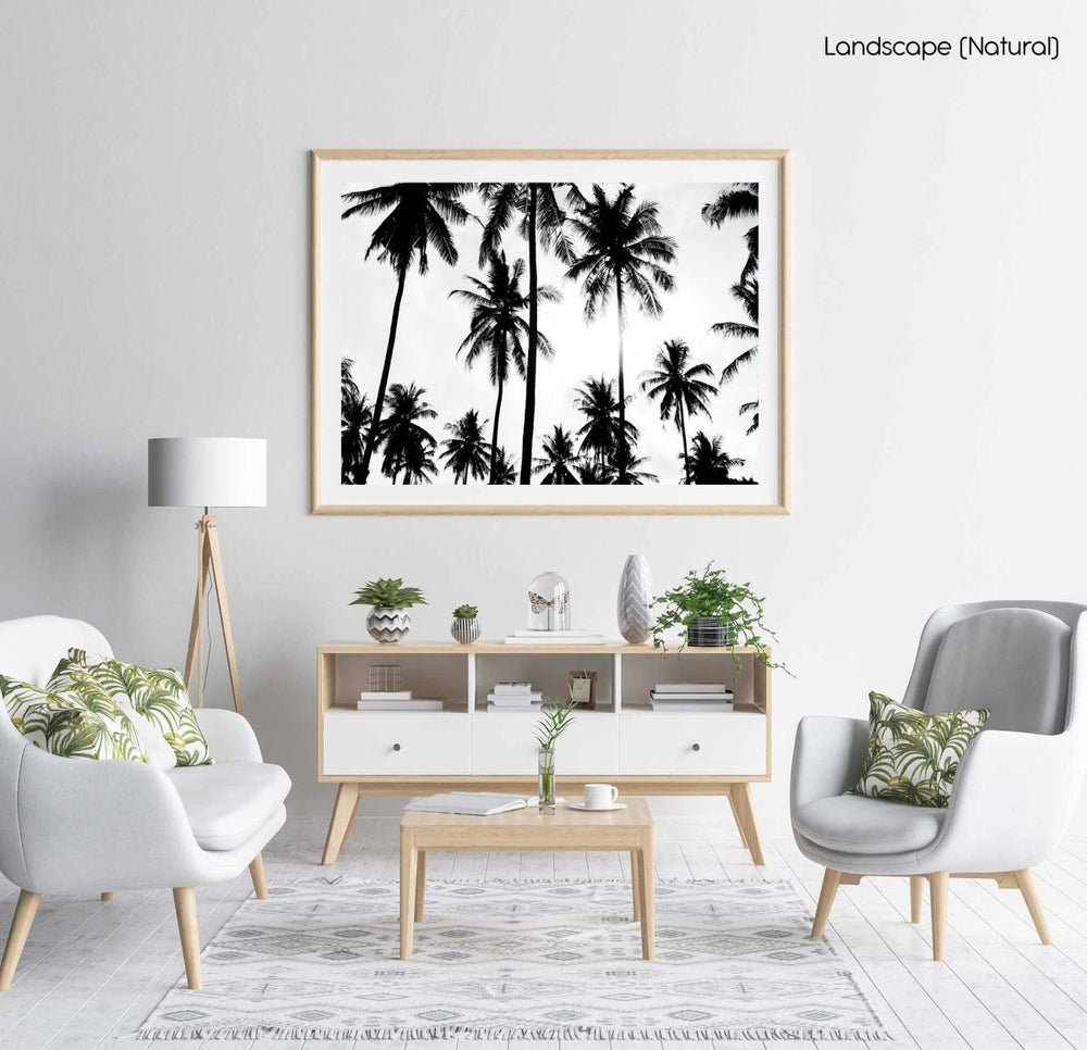 Palm trees in Bali, Indonesia