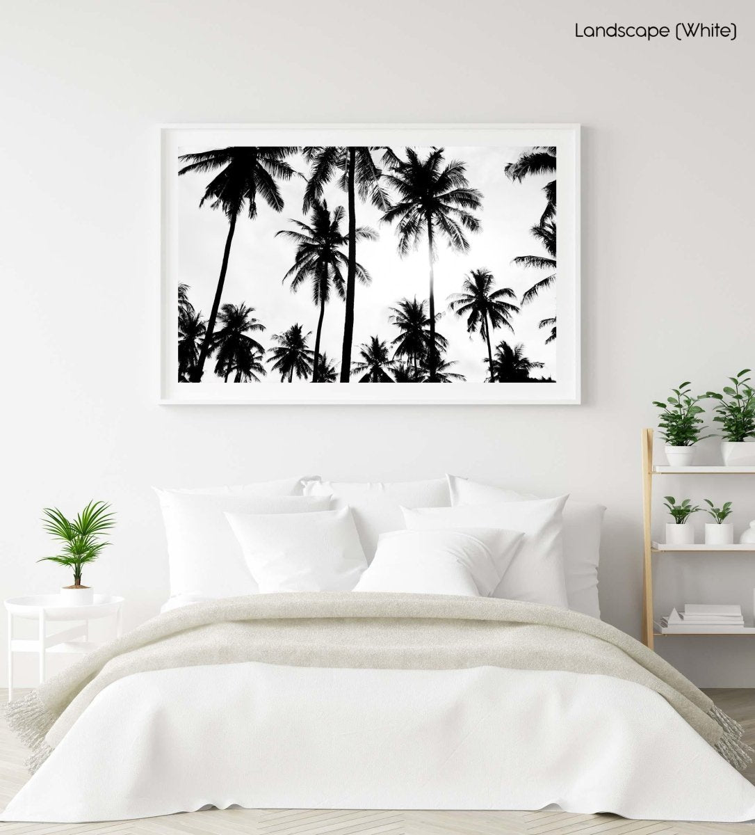 Palm trees in Bali, Indonesia