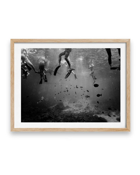 Fish are Friends (1 of 5)