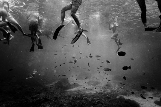 Fish are Friends (1 of 5)